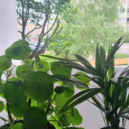 Appartement Yoga Powisle Varsovie
